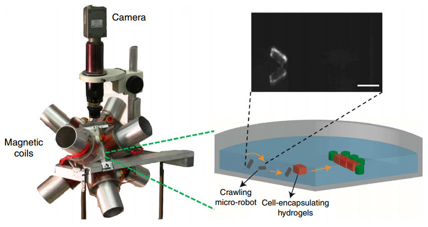micro-robotic-coding